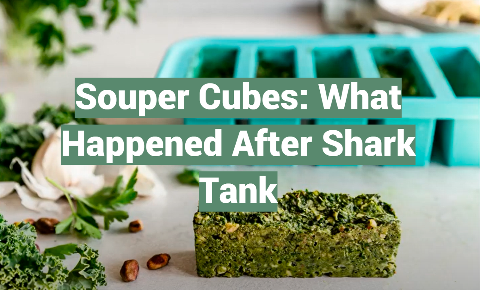 Souper Cubes What Happened After Shark Tank SharkTankWiki