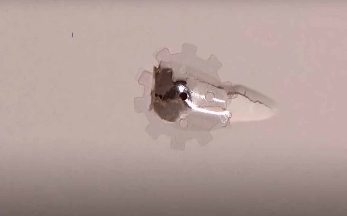 Wall Doctor Rx What Happened After Shark Tank SharkTankWiki